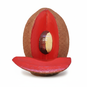 Handcrafted Wooden Napkin Holder – Tropical Zapote Fruit Motif