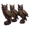 FOTO 27- PNG