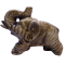 FOTO 32- PNG