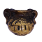 FOTO 35- PNG
